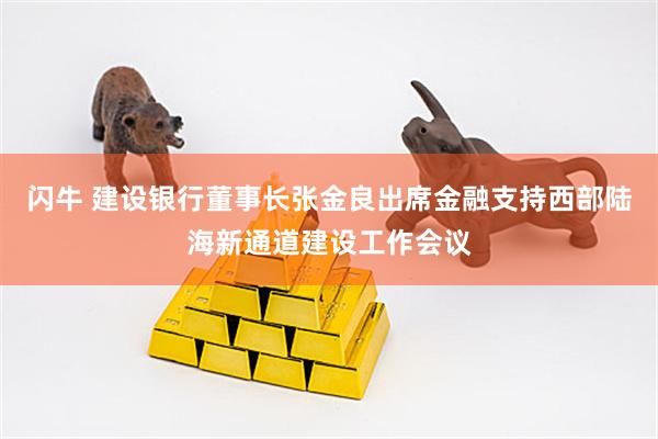 闪牛 建设银行董事长张金良出席金融支持西部陆海新通道建设工作会议