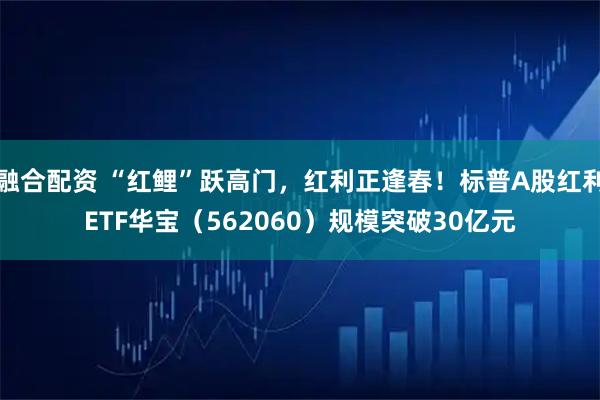 融合配资 “红鲤”跃高门，红利正逢春！标普A股红利ETF华宝（562060）规模突破30亿元