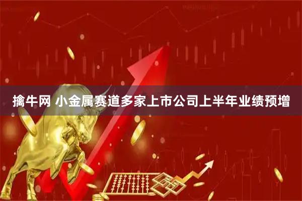 擒牛网 小金属赛道多家上市公司上半年业绩预增