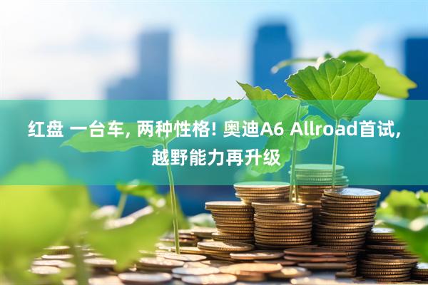红盘 一台车, 两种性格! 奥迪A6 Allroad首试, 越野能力再升级