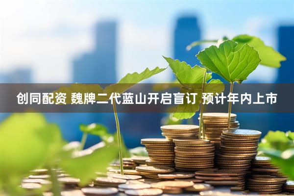 创同配资 魏牌二代蓝山开启盲订 预计年内上市